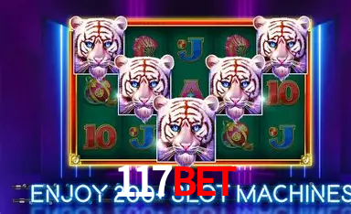 Experiência VIP 117bet